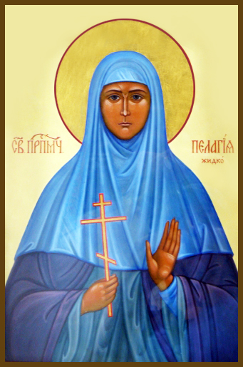 Muchenytsia Pelahiia ZHydko